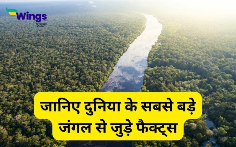Amazon Forest Facts in Hindi