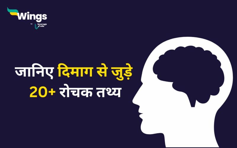 Psychology Facts About Brain in Hindi