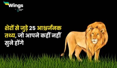 Facts About Lion in Hindi