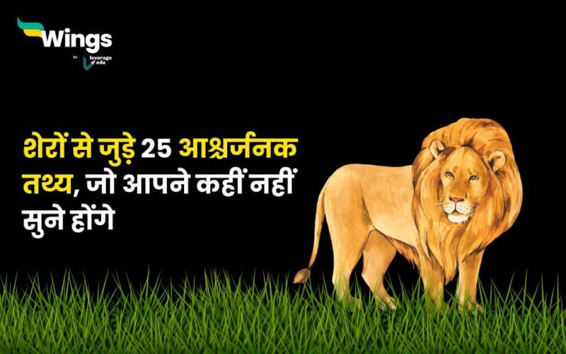 Facts About Lion in Hindi