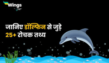 Facts About Dolphin in Hindi