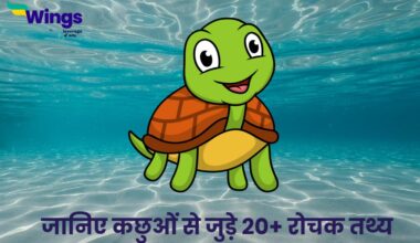 Facts About Turtle in Hindi