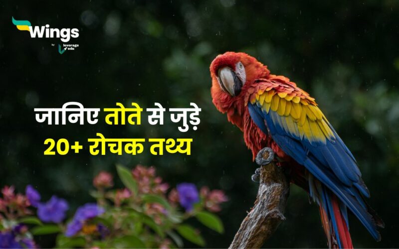 Facts About Parrots in Hindi