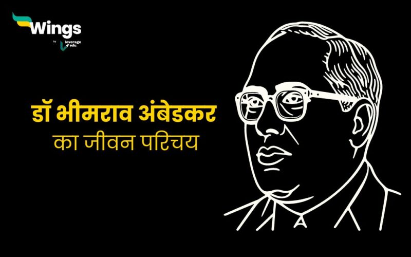 short essay on dr br ambedkar in hindi