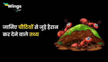 Facts About Ant in Hindi (1)