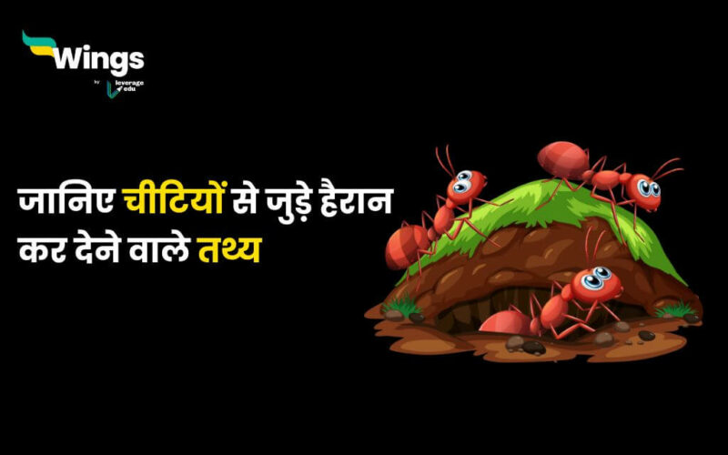 Facts About Ant in Hindi (1)