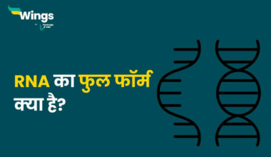 RNA Full Form in Hindi