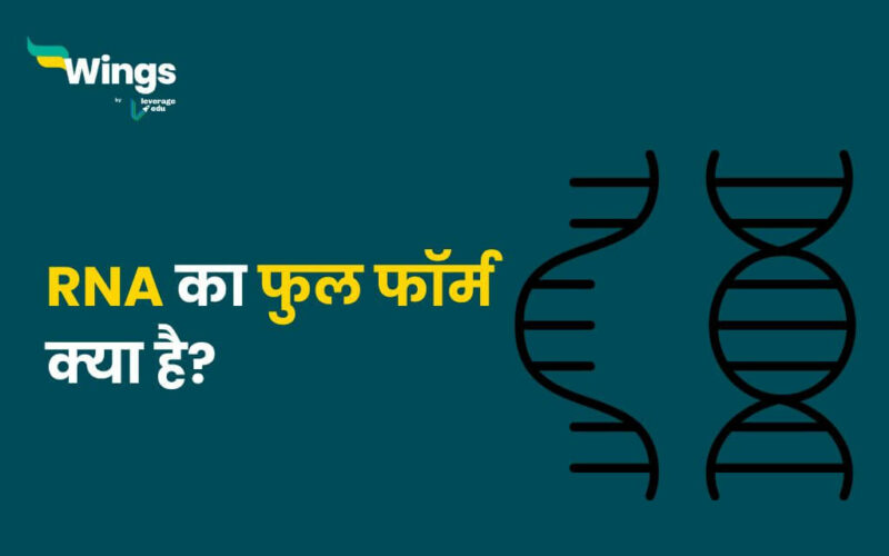 RNA Full Form in Hindi