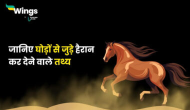 Facts About Horse in Hindi (1)