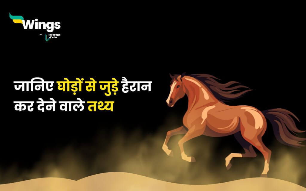 Facts About Horse in Hindi (1)