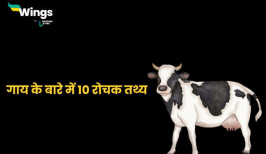 10 Lines On Cow in Hindi