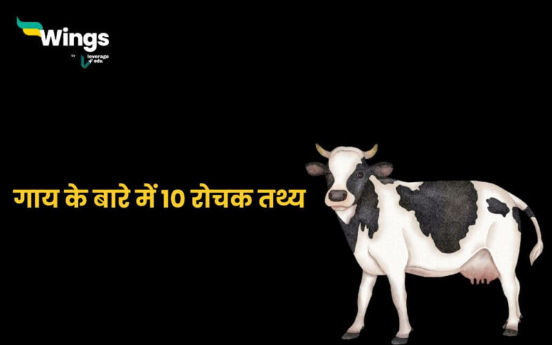 10 Lines On Cow in Hindi