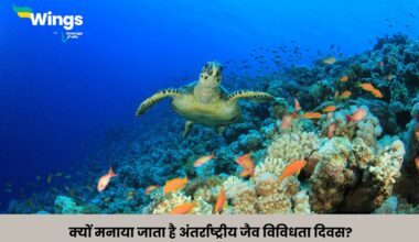 International Day for Biological Diversity in Hindi