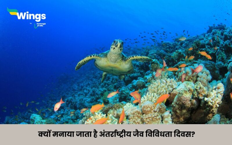 International Day for Biological Diversity in Hindi