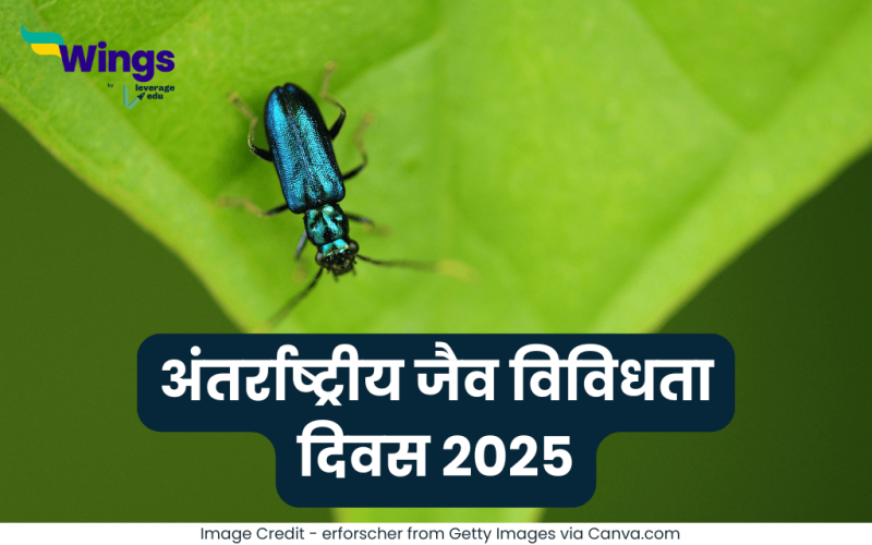 International Day for Biological Diversity in Hindi