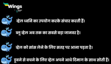 whale facts in hindi (1)