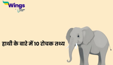 10 Lines on Elephant in Hindi