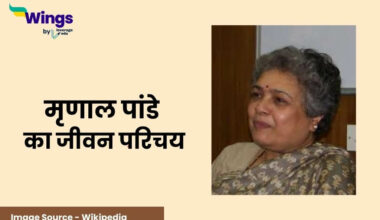 Mrinal Pandey Biography in Hindi