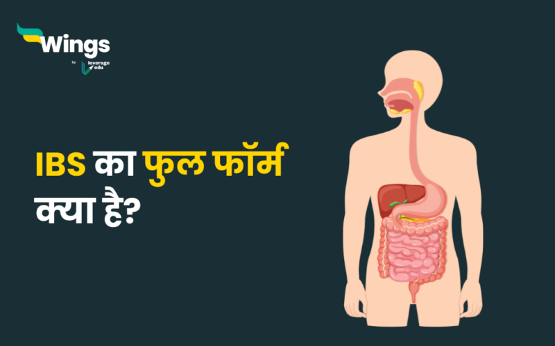 IBS Full Form in Hindi