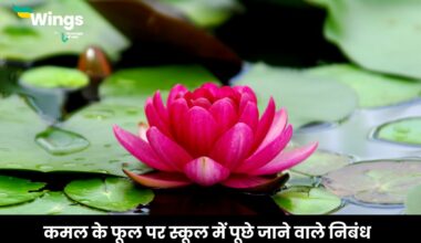 Essay on Lotus in Hindi