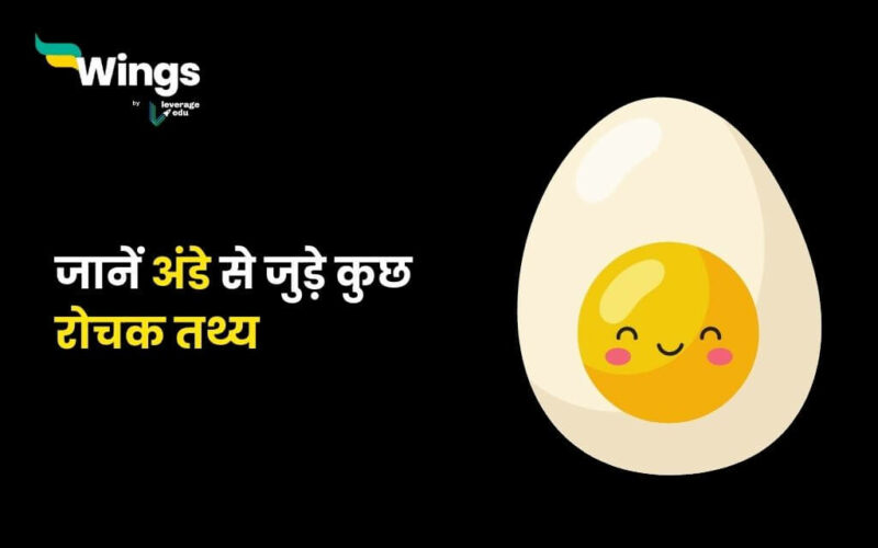 Interesting Facts About Eggs in Hindi (1)