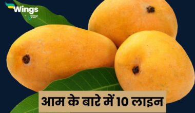 10 Lines On Mango in Hindi