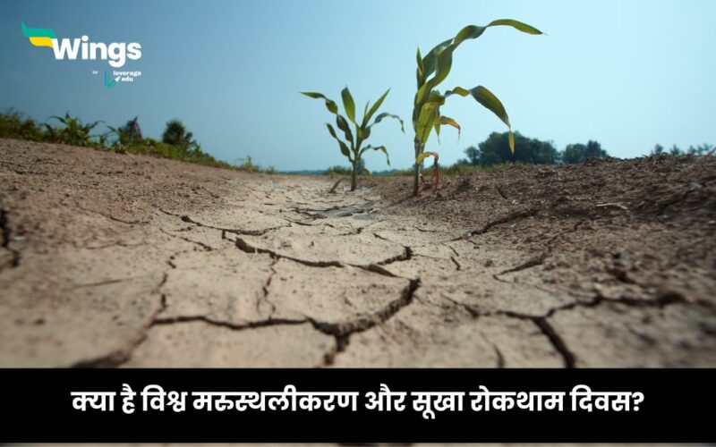 World Day to Combat Desertification and Drought in Hindi