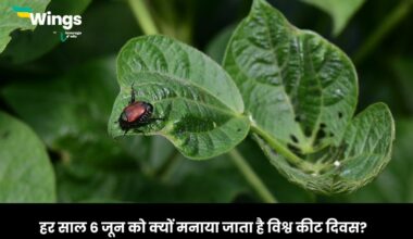 World Pest Day in Hindi