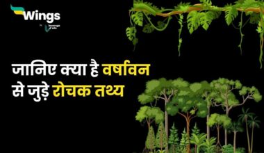 Rainforest Facts in Hindi (1)