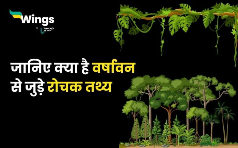 Rainforest Facts in Hindi (1)