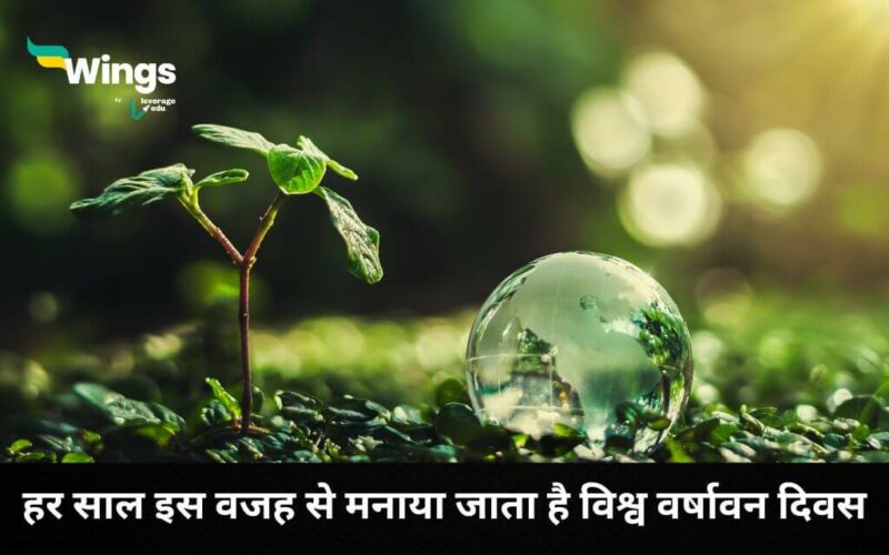 World Rainforest Day in Hindi