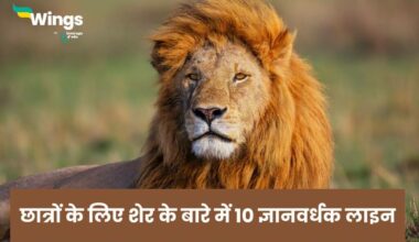 10 Lines On Lion in Hindi