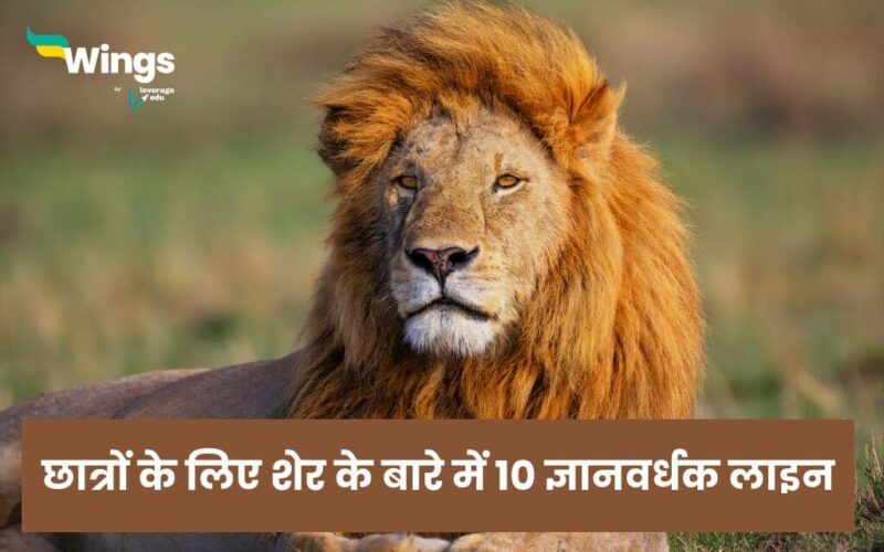10 Lines On Lion in Hindi