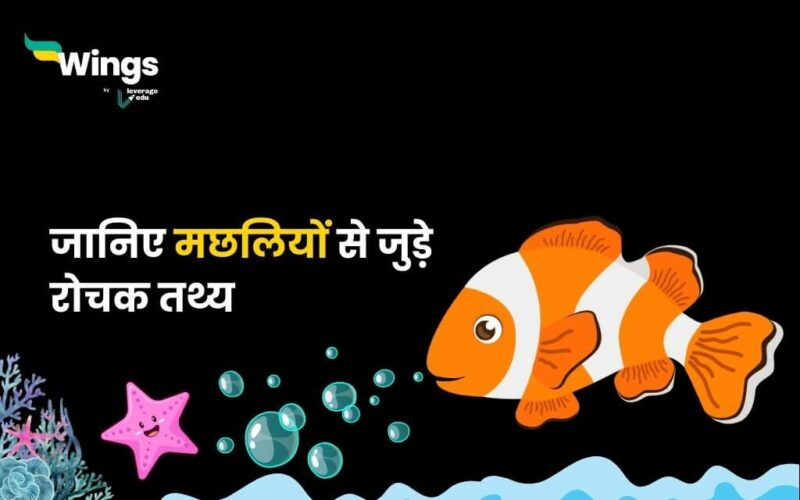 Facts About Fish in Hindi (1)