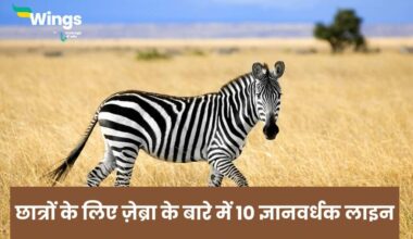 10 Lines On zebra in Hindi