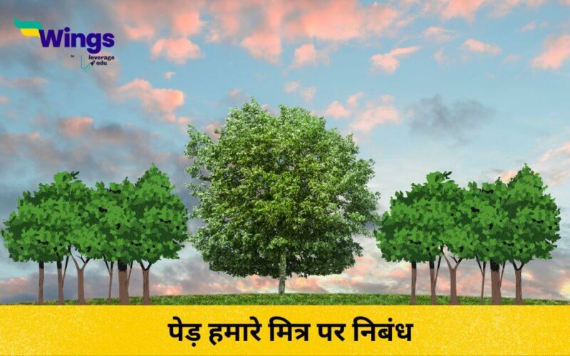 Essay on Tree Our Friend in Hindi (1)