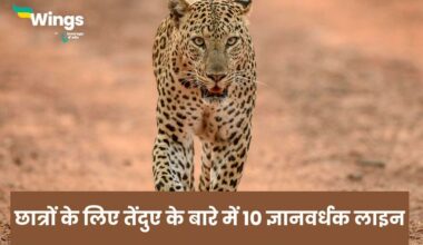 10 Lines On Leopard in Hindi