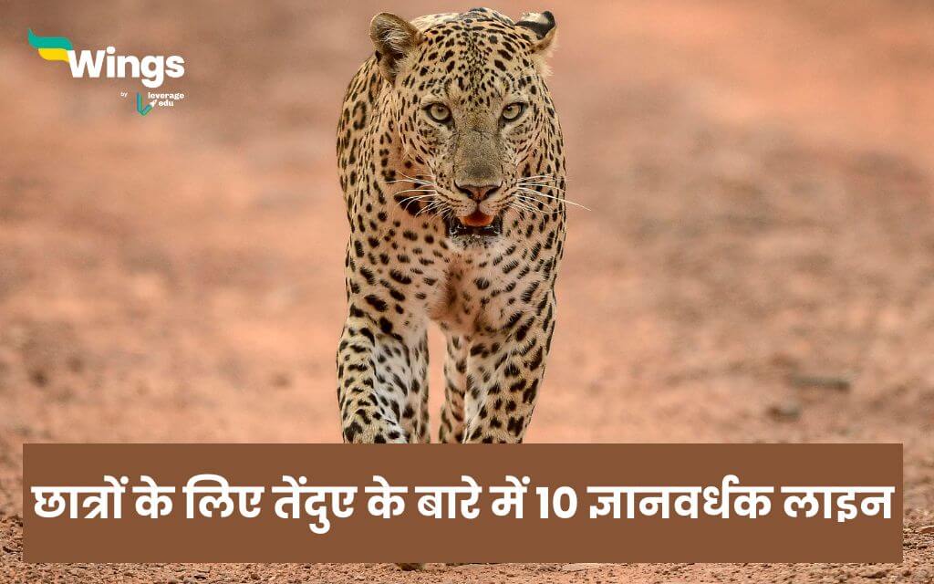 10 Lines On Leopard in Hindi
