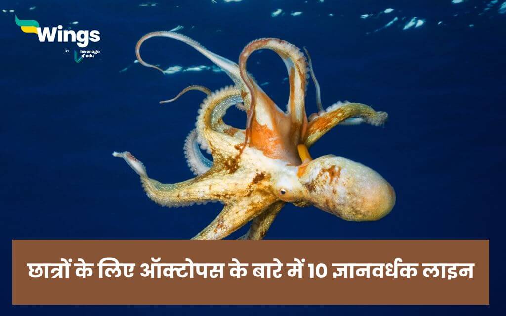 10 Lines On Octopus in Hindi