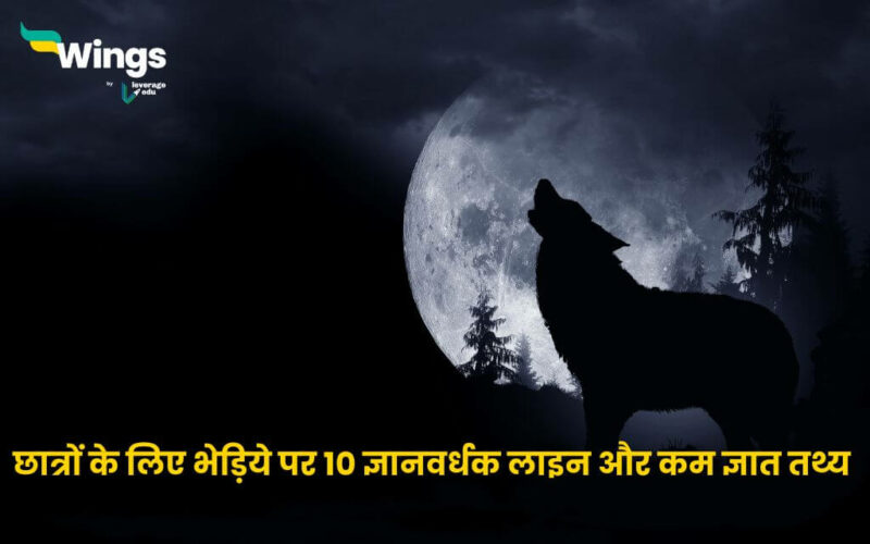10 Lines on Wolf in Hindi
