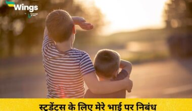 Essay on My Brother in Hindi