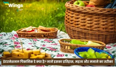 International Picnic Day in Hindi