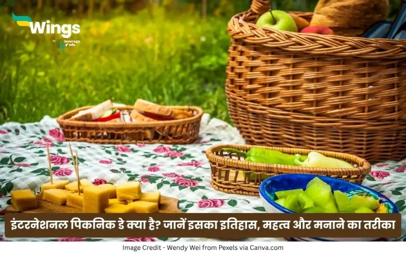 International Picnic Day in Hindi