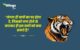 International Tiger Day Quotes in Hindi