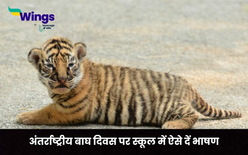 Tiger Day Speech in Hindi