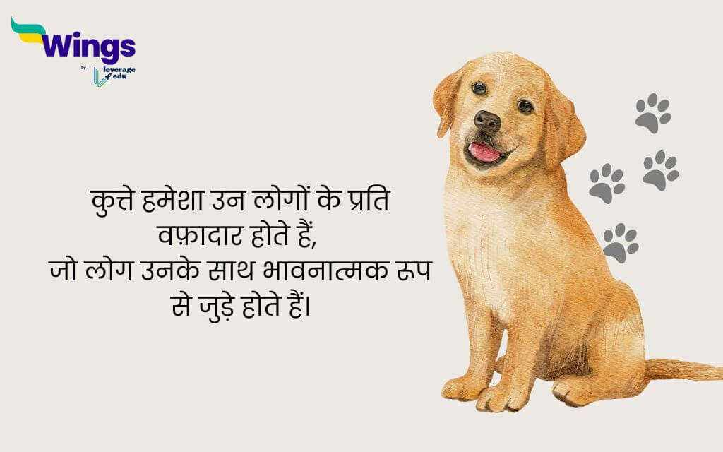 International Dog Day Quotes in Hindi