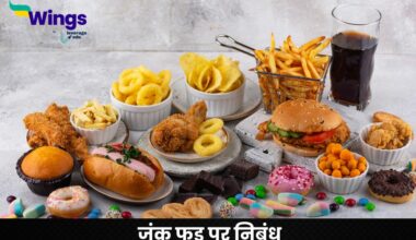 Essay on Junk Food in Hindi