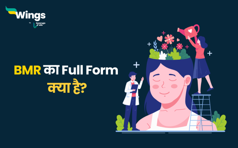 BMR Full Form in Hindi