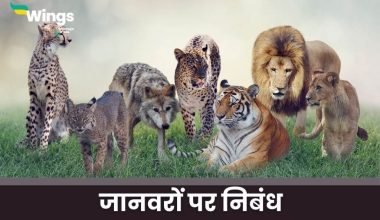 Essay on Animals in Hindi