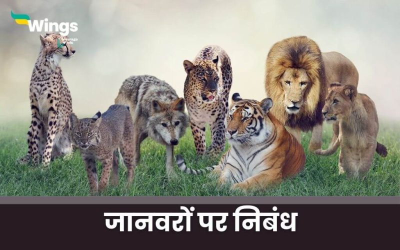 Essay on Animals in Hindi